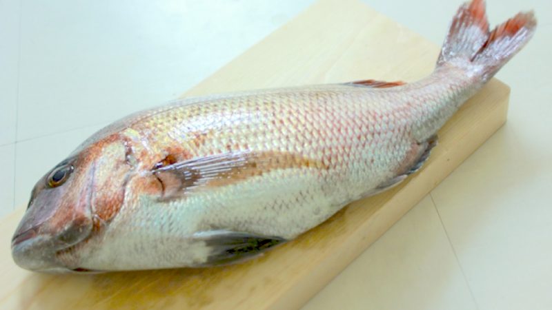 包丁で簡単！魚のうろこ取りのやり方とコツ