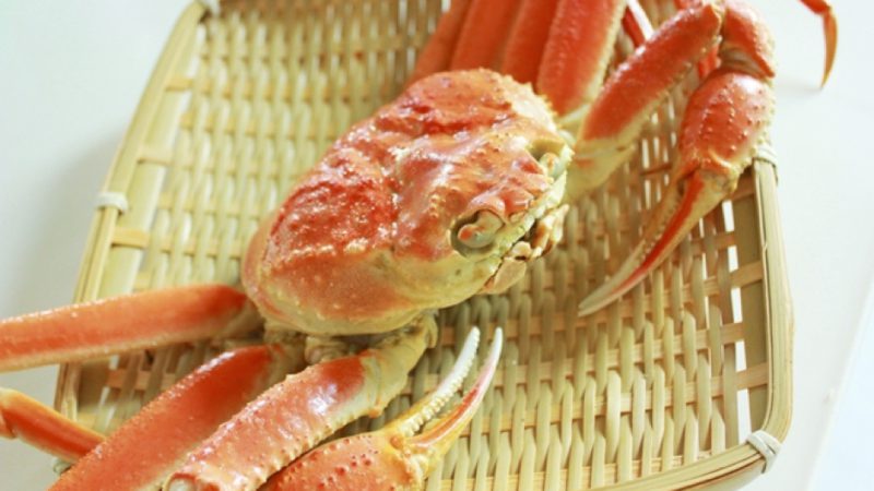 ズワイガニのさばき方 キッチンバサミで簡単！