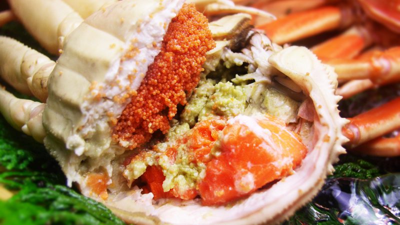 越前/松葉せいこかに!早期受付、早割価格で開始!