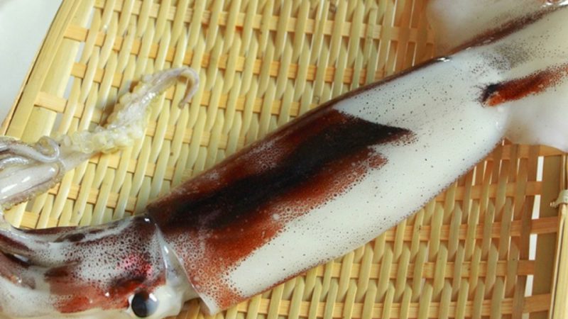 イカのさばき方　初心者必見！ゲソもわたもまるごといただこう！