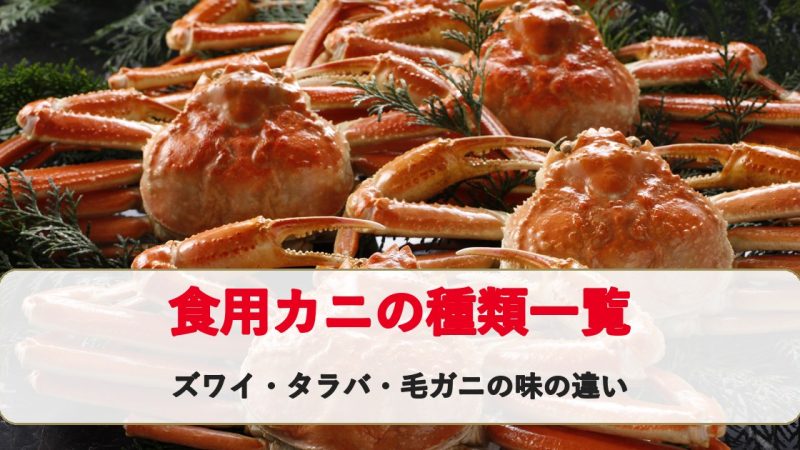 食用カニの種類一覧｜ズワイ・紅ズワイ・タラバ・毛ガニ・越前がにの特徴と味の違い