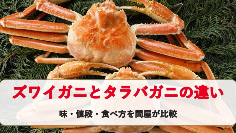 ズワイガニとタラバガニの違い｜味・値段・食べ方・どっちがおすすめ？（タラバは”カニじゃない”の理由も）
