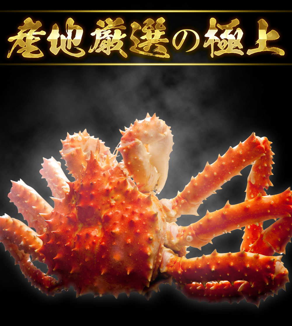 年末早割!11,800円送料無料!!極上特大タラバ蟹/足900g（総重量1kg前後）(ボイル/冷凍)約2人前[送料無料][オホーツク海産厳選][かに/ カニ/蟹/たらば/タラバ/たらば蟹/タラバ蟹/たらばがに/タラバガニ]