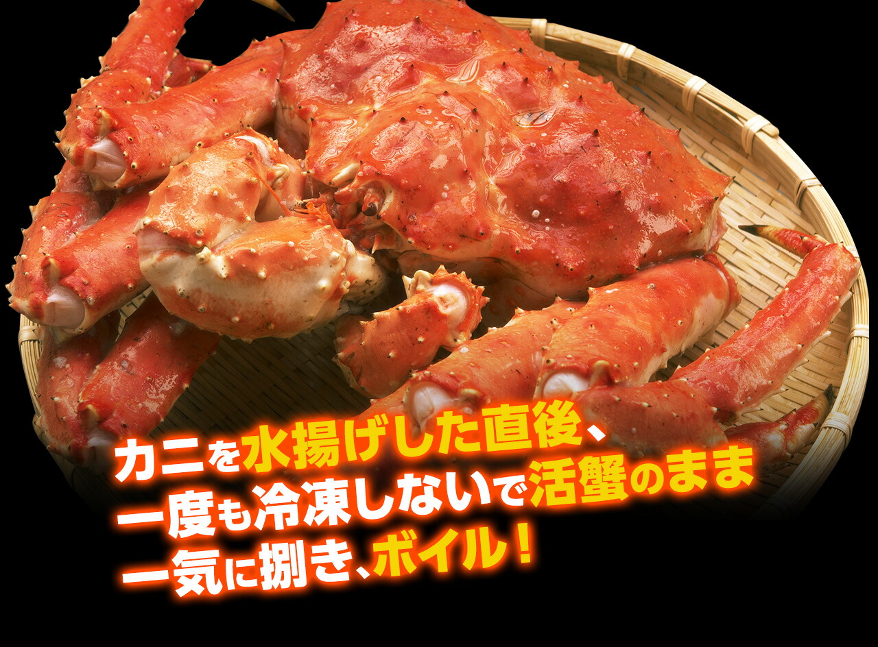 特大タラバ蟹/足1.8kg（総重量2kg）(ボイル/冷凍)約4-5人前[送料無料][オホーツク海産厳選][かに/カニ/蟹/たらば蟹/タラバ蟹 /たらばがに/タラバガニ]コロナ 在庫処分 プレゼント 食べ物 食品 お取り寄せグルメ